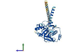 AlphaFold protein structure predicition of Mouse Recombinant B4galt5 Protein, UniprotID Q9JMK0