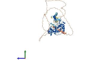 Protein Structure (PS) image for Mitogen-Activated Protein Kinase Kinase Kinase 7 (MAP3K7) (AA 1-606) protein (His tag) (ABIN7554477)