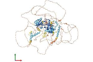 Protein Structure (PS) image for Period Circadian Protein 2 (PER2) (AA 1-1257) protein (His tag) (ABIN7562451)