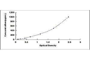 Typical standard curve (CCL24 ELISA 试剂盒)