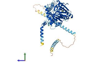 Protein Structure (PS) image for Chondroitin Sulfate N-Acetylgalactosaminyltransferase 2 (CSGALNACT2) (AA 1-542) protein (His tag) (ABIN7559106)
