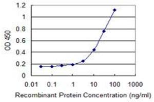 Detection limit for recombinant GST tagged NOVA1 is 1 ng/ml as a capture antibody. (NOVA1 抗体  (AA 1-507))