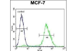 PCA Antibody (C-term) (ABIN655112 and ABIN2844743) flow cytometric analysis of MCF-7 cells (right histogram) compared to a negative control cell (left histogram). (PMPCA 抗体  (C-Term))