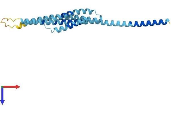 GOSR2 Protein (AA 1-212) (His tag)