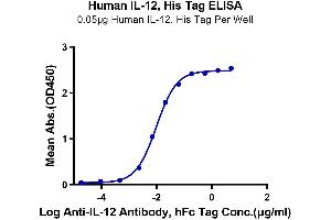 Immobilized Human IL-12 at 0. (IL12 Protein (His-Avi Tag))