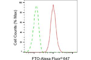 Flow cytometric analysis of FTO expression in HepG2 cells using FTO antibody (ABIN7798580), 1:2,000). (Recombinant FTO 抗体)