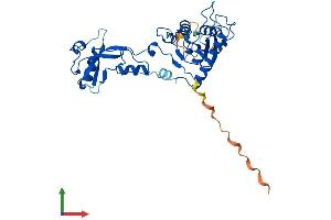 AlphaFold protein structure predicition of Human Recombinant ADAT3 Protein, UniprotID Q96EY9