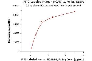 ELISA image for Neural Cell Adhesion Molecule 1 (NCAM1) (AA 20-718) (Active) protein (Fc Tag,FITC) (ABIN7013803)