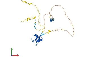 AlphaFold protein structure predicition of Mouse Recombinant Lysmd1 Protein, UniprotID Q9D0E3 (LYSMD1 Protein (AA 1-226) (His tag))
