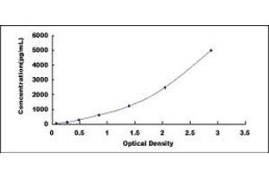 Typical standard curve (APP ELISA 试剂盒)