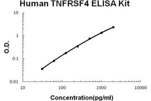 Human TNFRSF4/OX40 Accusignal ELISA Kit Human TNFRSF4/OX40 AccuSignal ELISA Kit standard curve.