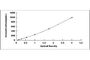 Typical standard curve (RNASEL ELISA 试剂盒)