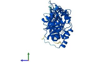 Protein Structure (PS) image for Epilepsy, Progressive Myoclonus Type 2A, Lafora Disease (Laforin) (EPM2A) (AA 1-330) protein (His tag) (ABIN7565216)