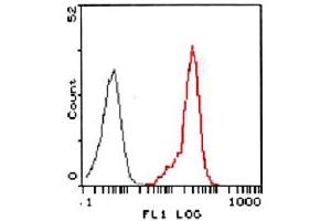 Flow cytometric analysis of HL-60 cells using FPR2 using FPR2 polyclonal antibody  (red) compared to a nonspecific negative control antibody (black). (FPR2 抗体  (2nd Extracellular Loop))