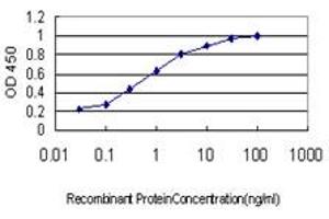 ELISA image for anti-RalA Binding Protein 1 (RALBP1) (AA 1-655) antibody (ABIN564745)