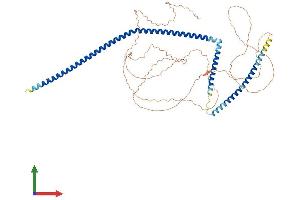 Protein Structure (PS) image for Chromosome 14 Open Reading Frame 39 (C14ORF39) (AA 1-587) protein (His tag) (ABIN7545883)