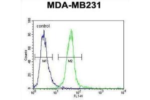 Flow Cytometry (FACS) image for anti-Myozenin 1 (MYOZ1) antibody (ABIN3002281) (Myozenin 1 抗体)
