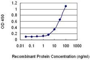 Detection limit for recombinant GST tagged UBASH3B is 1 ng/ml as a capture antibody. (UBASH3B 抗体  (AA 344-441))