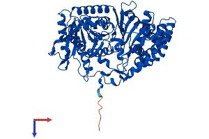 CROT Protein (AA 1-612) (His tag)