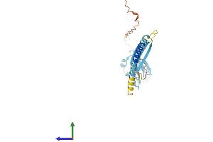 AlphaFold protein structure predicition of Mouse Recombinant Cideb Protein, UniprotID O70303