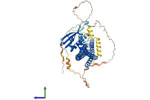 Protein Structure (PS) image for Sorting Nexin 2 (SNX2) (AA 1-519) protein (His tag) (ABIN7555543)