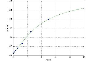 A typical standard curve