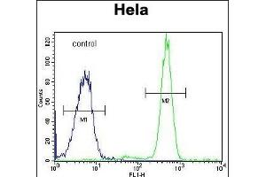 Flow Cytometry (FACS) image for anti-Polymerase (RNA) III (DNA Directed) Polypeptide H (22.9kD) (POLR3H) (AA 5-33), (N-Term) antibody (ABIN651129)