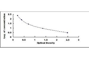 Typical standard curve (INHBE ELISA 试剂盒)