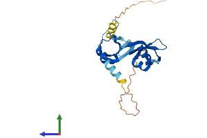 Protein Structure (PS) image for Chromobox Homolog 5 (CBX5) (AA 1-191) protein (His tag) (ABIN7557730)