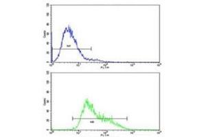Flow cytometric analysis of CEM cells using IGHA1 antibody (bottom histogram) compared to a negative control (top histogram). (IGHA1 抗体  (AA 257-286))