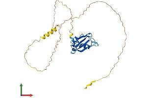 Protein Structure (PS) image for RNA Binding Motif Protein 7 (RBM7) (AA 1-265) protein (His tag) (ABIN7560576)