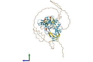 AlphaFold protein structure predicition of Mouse Recombinant Prdm14 Protein, UniprotID E9Q3T6