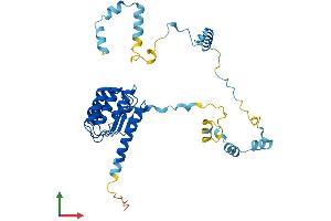 Protein Structure (PS) image for Tropomodulin 1 (TMOD1) (AA 1-359) protein (His tag) (ABIN7563348)