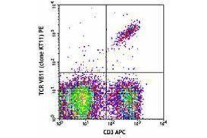 Flow Cytometry (FACS) image for anti-TCR V beta 11 antibody (PE) (ABIN2663913) (TCR V beta 11 抗体 (PE))