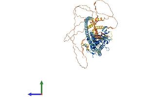 Protein Structure (PS) image for Kinesin Family Member C2 (KIFC2) (AA 1-838) protein (His tag) (ABIN7554375)