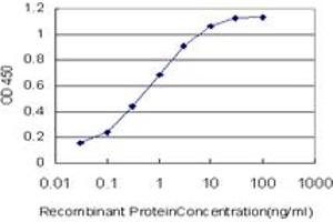 Detection limit for recombinant GST tagged EP300 is approximately 0. (p300 抗体  (AA 731-830))