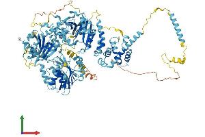 Protein Structure (PS) image for N-Acetyltransferase 10 (GCN5-Related) (NAT10) (AA 1-1024) protein (His tag) (ABIN7564627)