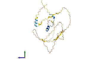 Protein Structure (PS) image for POU Class 2 Associating Factor 1 (POU2AF1) (AA 1-256) protein (His tag) (ABIN7557853)