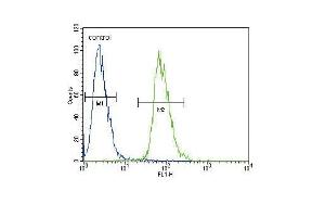 ETV5 Antibody (N-term) (ABIN654690 and ABIN2844382) flow cytometric analysis of 293 cells (right histogram) compared to a negative control cell (left histogram). (ETV5 抗体  (N-Term))