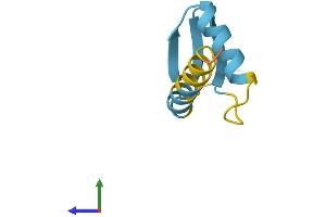 Protein Structure (PS) image for General Transcription Factor IIH, Polypeptide 5 (GTF2H5) (AA 1-71) protein (Fc Tag) (ABIN7559522)