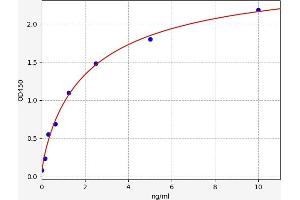 Typical standard curve (GATA5 ELISA 试剂盒)