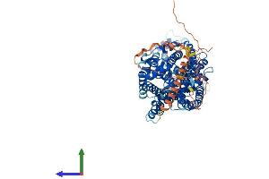 Protein Structure (PS) image for Solute Carrier Family 6, Member 17 (SLC6A17) (AA 1-727) protein (His tag) (ABIN7558699)