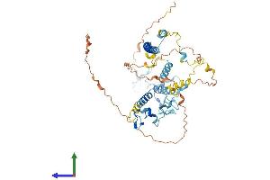 Protein Structure (PS) image for KAT8 Regulatory NSL Complex Subunit 2 (KANSL2) (AA 1-486) protein (His tag) (ABIN7558822)