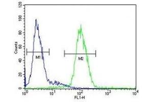 Ceruloplasmin antibody flow cytometric analysis of HepG2 cells (green) compared to a negative control (blue). (Ceruloplasmin 抗体  (AA 121-151))