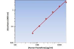 Chemokine (C-X3-C Motif) Ligand 1 (CX3CL1) ELISA Kit