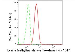 anti-N-Lysine Methyltransferase KMT5A (KMT5A) antibody