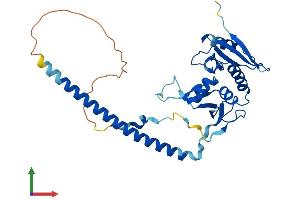 Protein Structure (PS) image for tRNA Splicing Endonuclease 34 Homolog (TSEN34) (AA 1-310) protein (His tag) (ABIN7555487)