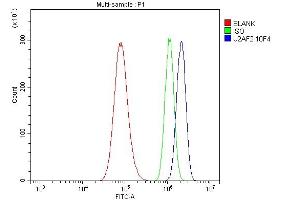 Flow Cytometry analysis of A549 cells using anti- U2AF65/U2AF2 antibody (ABIN7600794). (U2AF2 抗体  (AA 238-470))