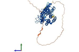 AlphaFold protein structure predicition of Human Recombinant ADIPOR2 Protein, UniprotID Q86V24