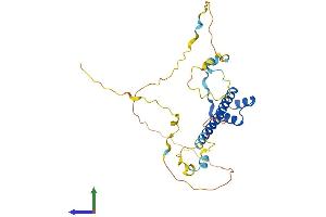 Protein Structure (PS) image for T-Cell Leukemia Homeobox 2 (TLX2) (AA 1-284) protein (His tag) (ABIN7557727)